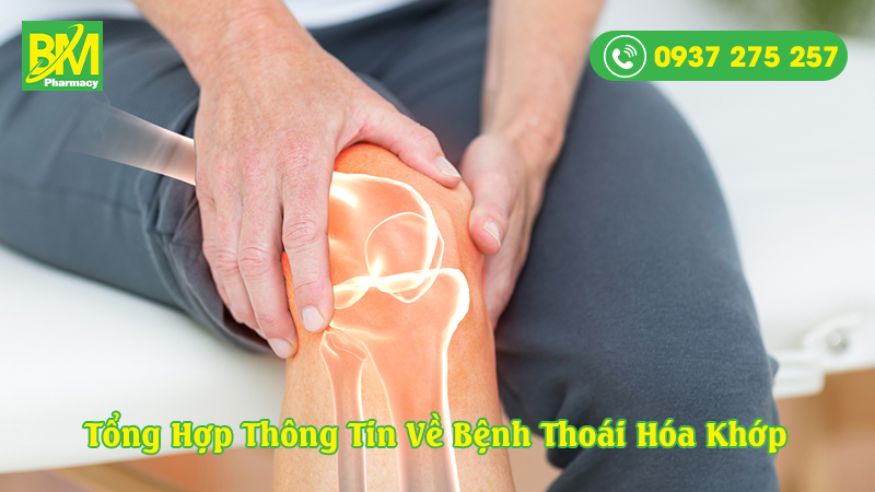 Tổng Hợp Thông Tin Về Bệnh Thoái Hóa Khớp